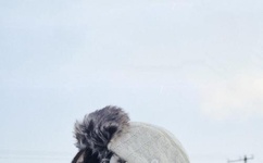 女生高c的会自己知道吗